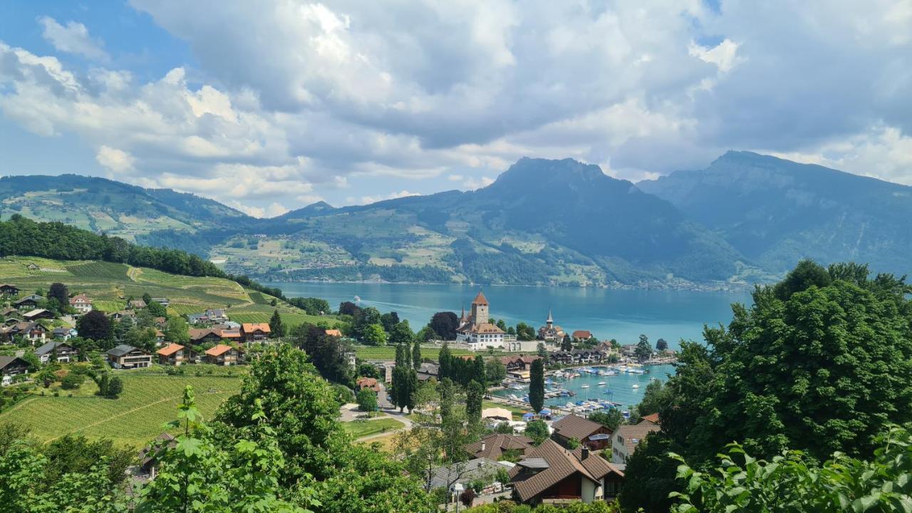 Swiss Holiday Apartments Шпіц Екстер'єр фото